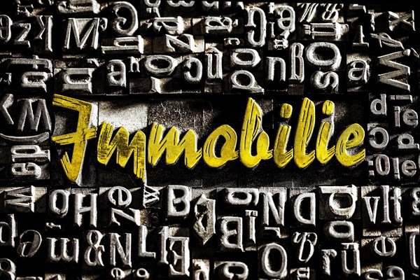 Old lead letters with gold lettering show the word Immobilie