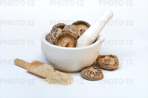 Shiitake mushrooms in a grater and shiitake powder in a shovel