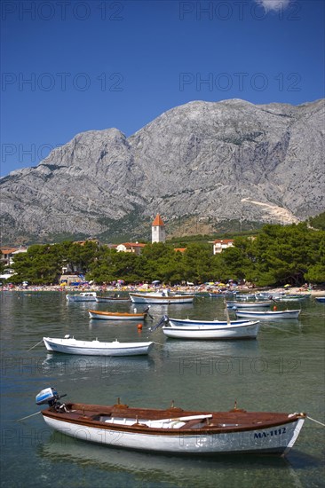 Village view with fishing boat