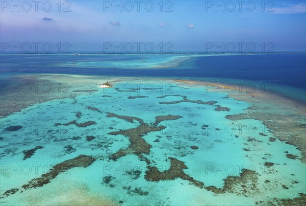 Reef top with lagoon and corals