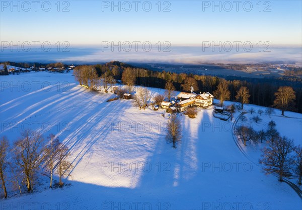 Winter morning