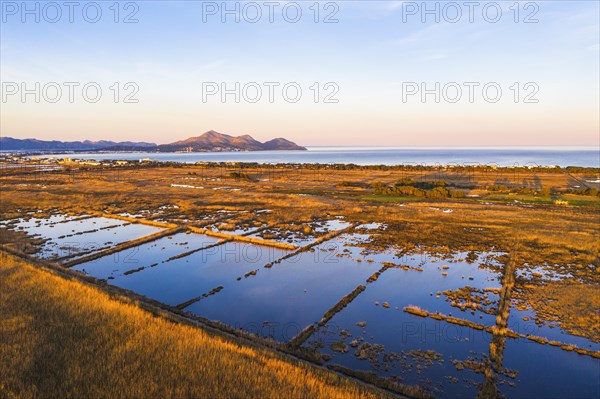 Wetland