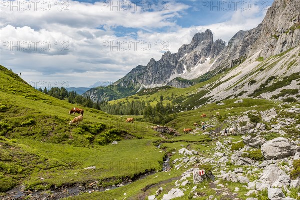 Marked hiking trail from Adamekhuette to Hofpuerglhuette