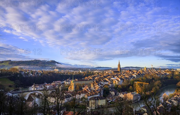 City view in the morning light, view from the rose garden to the old town