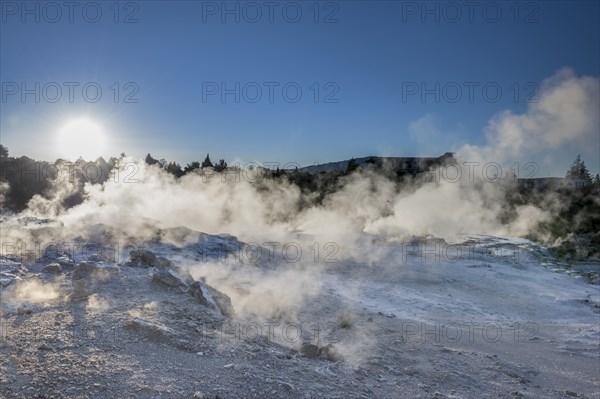 Steaming Sinter Terraces, Te Puia Geyser