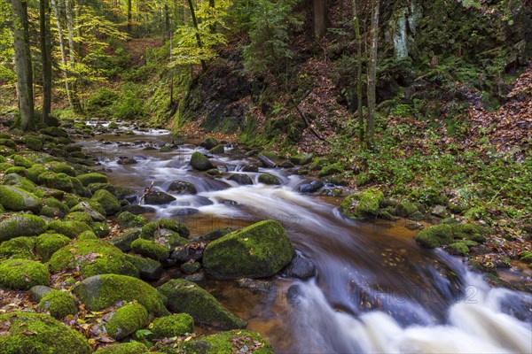 River Grobbach