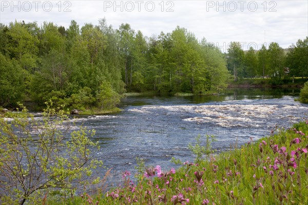 Rapids at