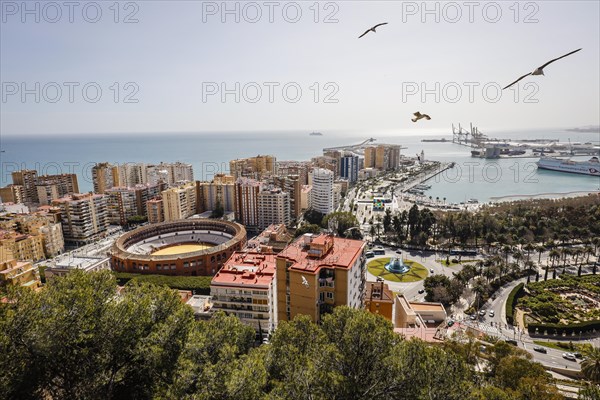 Bullfighting arena and the new harbour district with promenade Muelle Uno