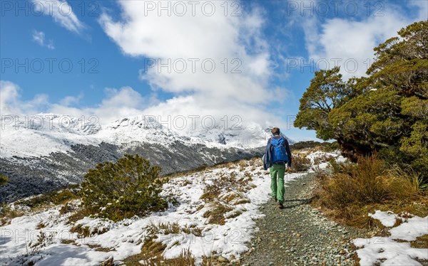 Hiker on trail to Key Summit