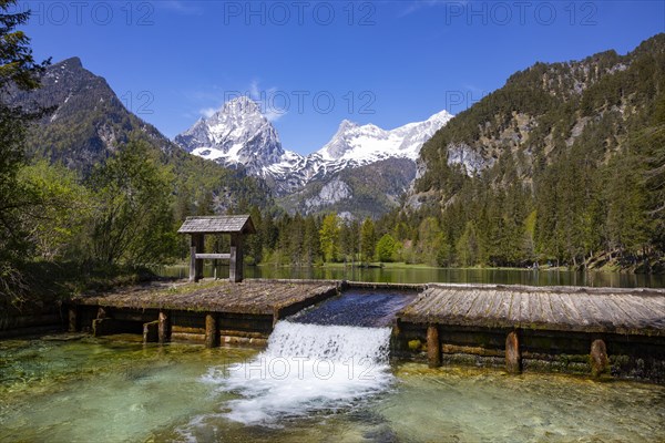 Schiederweiher