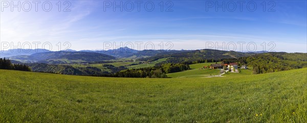 Panoramic view from Lichtenberg
