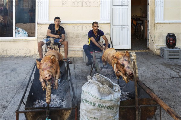 Roasting pigs in a pedestrian area of the town centre in order to subsequently sell meat portions to the public