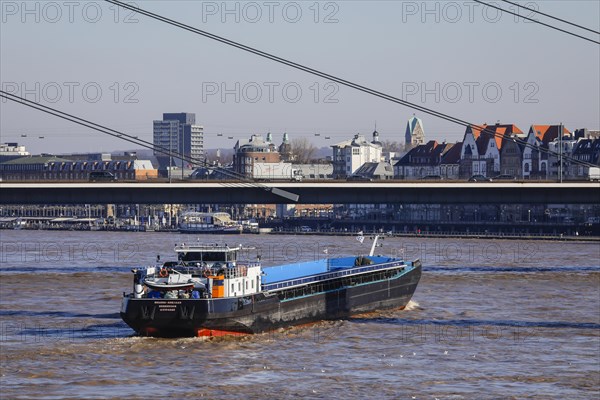 Freighters navigating at high water on the Rhine under the Rheinkniebruecke