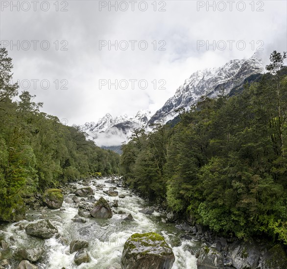 Hollyford river with snowy mountains