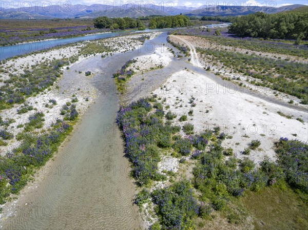 Riverbed of the Ahuriri River