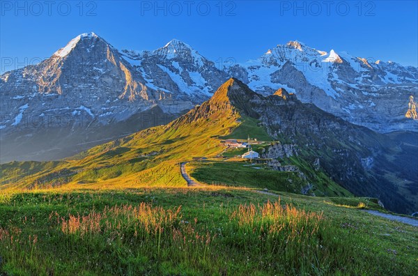 Panorama from the Maennlichen with the triumvirate of the Eiger