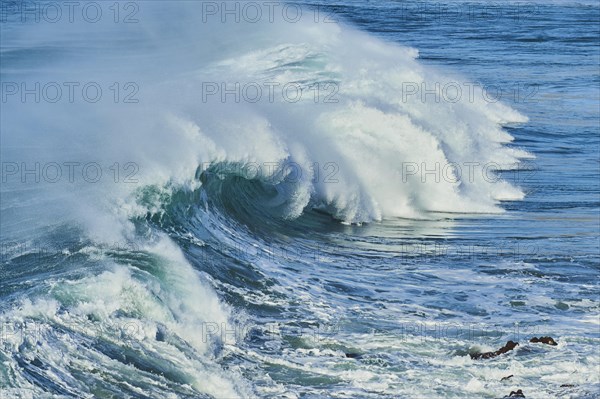 Huge wave in the Atlantic Ocean