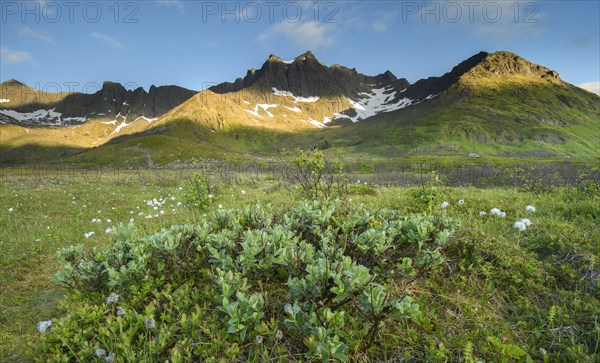 Mountain tops with green slopes