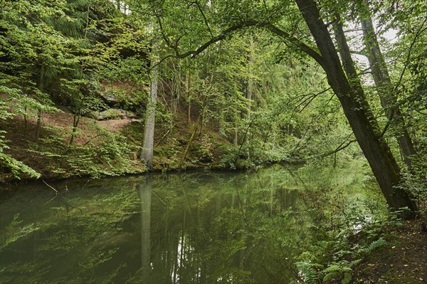 River Schwarzach