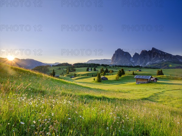 Alpe di Siusi