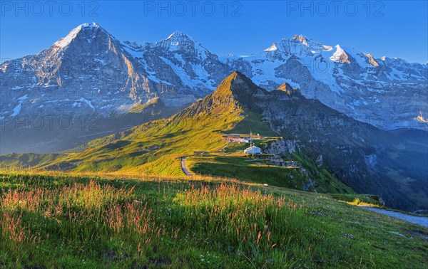 Panorama from the Maennlichen with the triumvirate of the Eiger