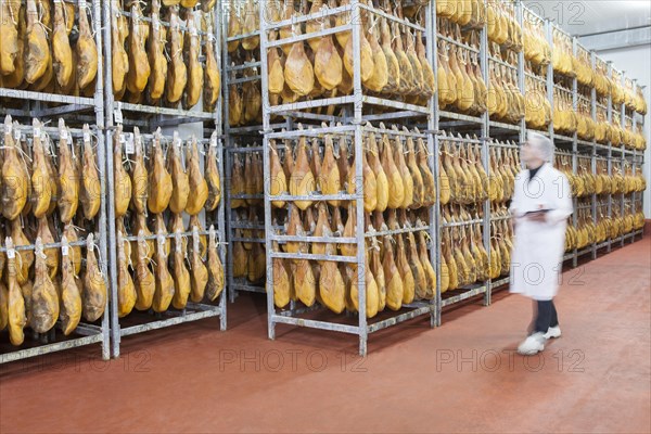 Employee checks raw ham in the drying room