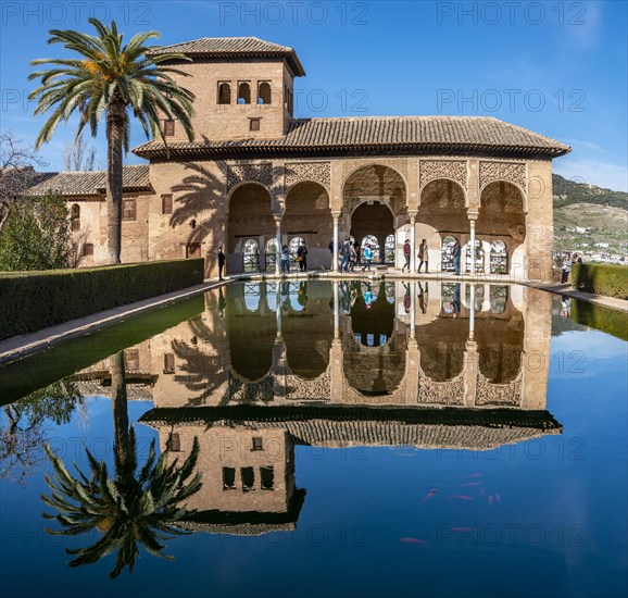 Historic building El Partal with pool and palm trees