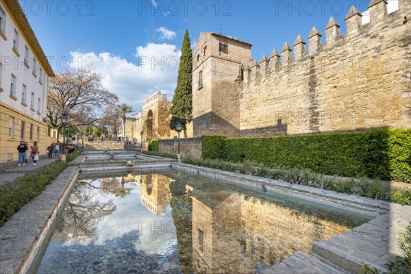 City wall with city gate Puerta de Almodovar