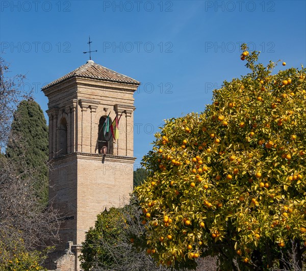 Tower of the Antico convento di San Francesco