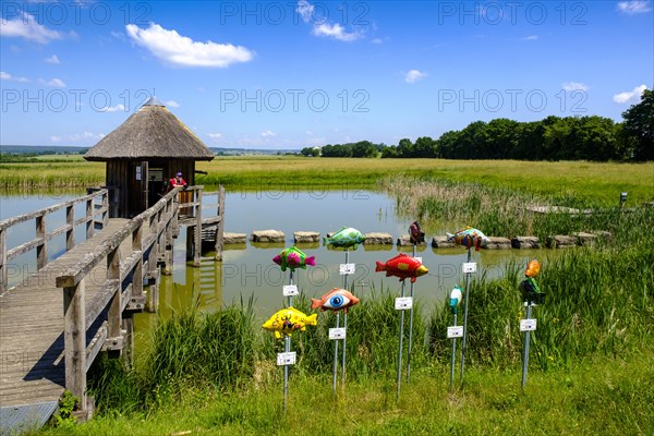 Ornithological station