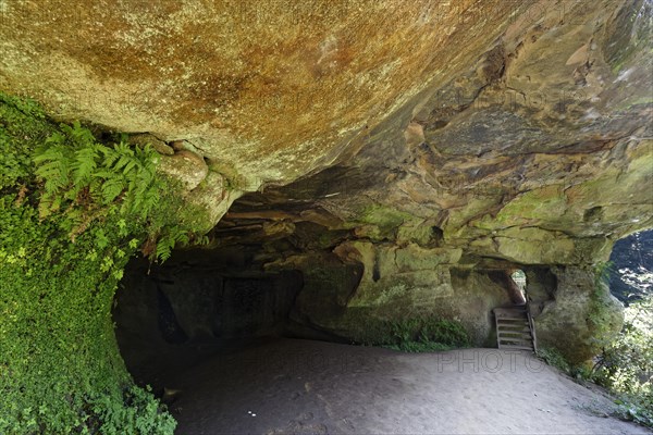 Cave with fern and rock breakthrough