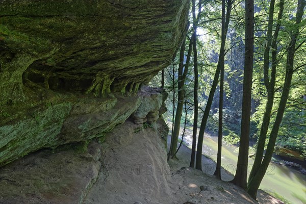 Rock face and deciduous trees on the Schwarzach