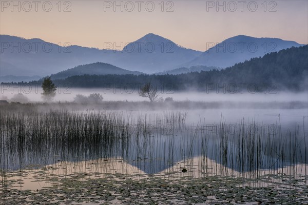 Sunrise with wafts of mist over the Lake Turnersee