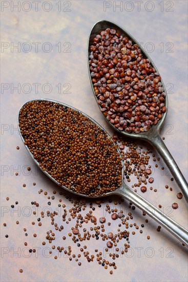 Quinoa