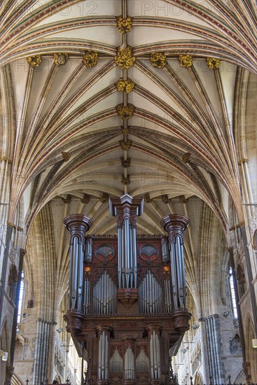 Fan vault and organ