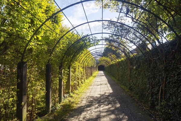 Acadence in the Mirabell Garden