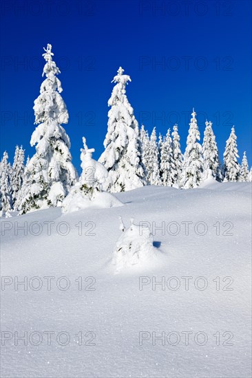 Deeply snow-covered untouched winter landscape