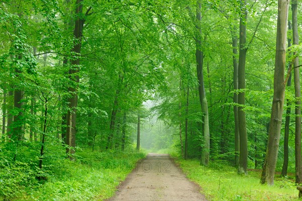 Hiking trail to the Holy Halls