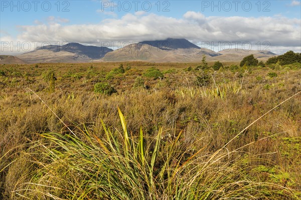 Mount Ngauruhoe