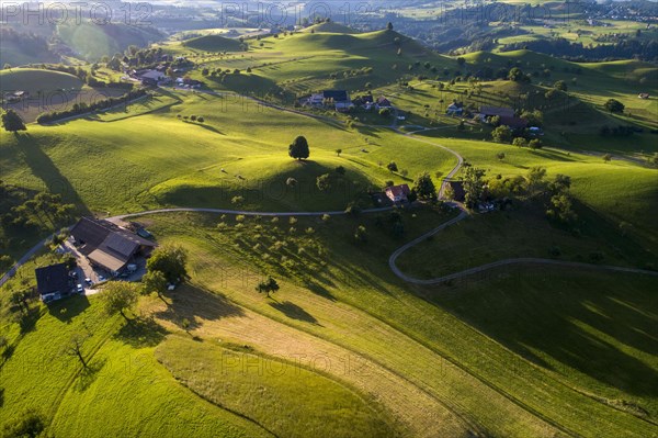 Agricultural landscape with drumlins