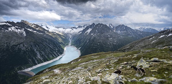 View from the Berliner Hoehenweg to the Schlegeis reservoir