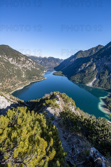 View of Plansee