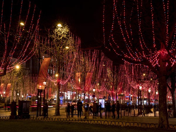 Night shot of the Christmas illumination of the Avenue des Champs-Elysees