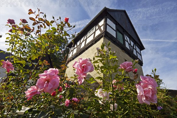 Romantic garden with granary in the rose village Assinghausen