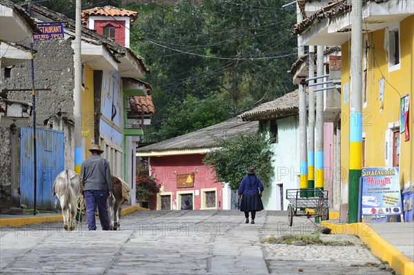 Village life on the main road