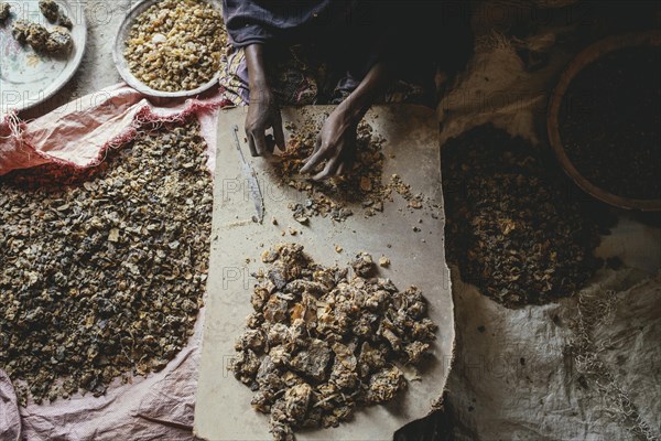 Frankincense dealer