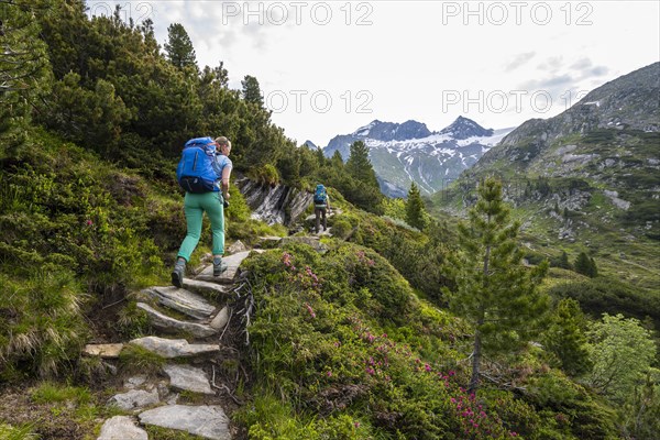 Hikers on the Berliner Hoehenweg