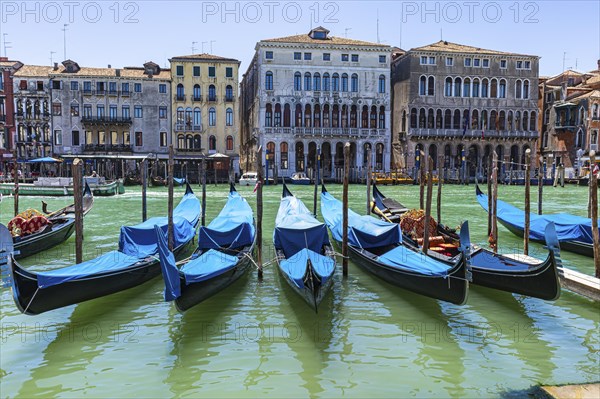 Parking gondolas in the Canale Grande