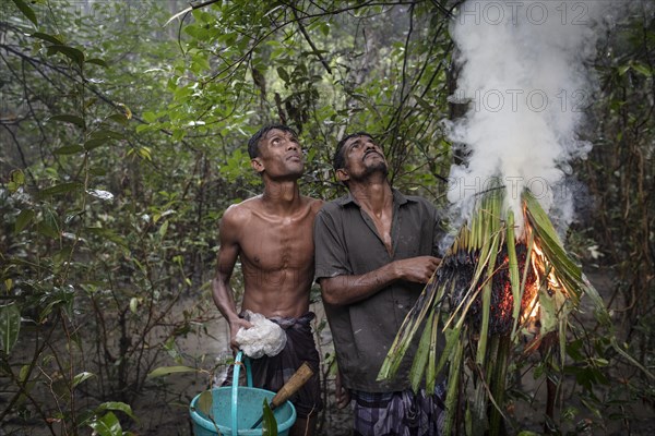 Two honey collectors after lighting damp perennials and leaves with fire accelerant to produce smoke