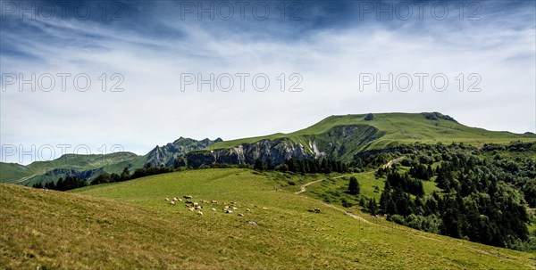 The Sancy massif at back